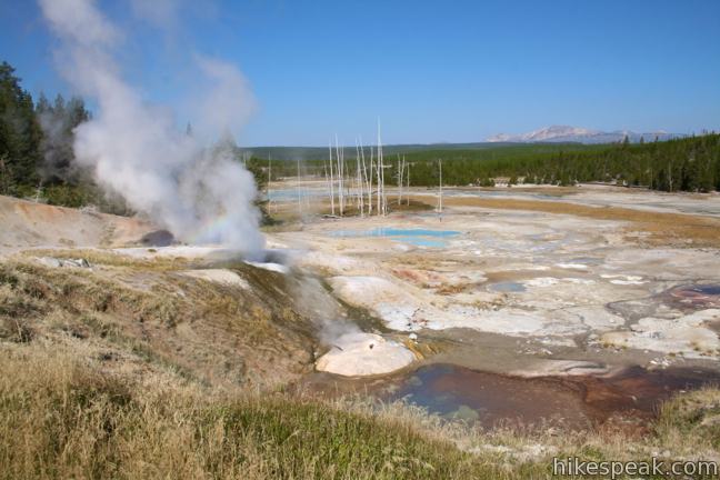Hike the Porcelain Basin Trail: Yellowstone's Geothermal Gem