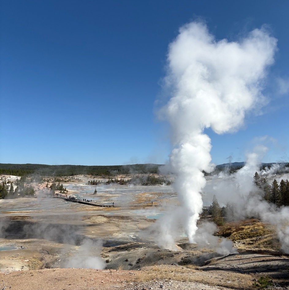 Unveiling Porcelain Basin's Colors: Silica, Thermophiles & Acidic Waters